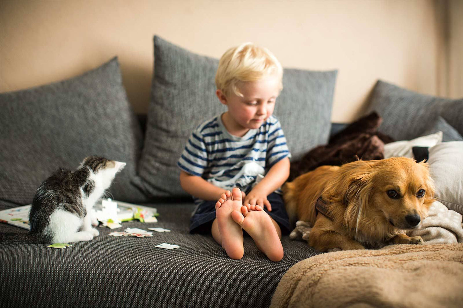 Rakas, ihana kuratassu - Kalusta lemmikkiystävällinen koti