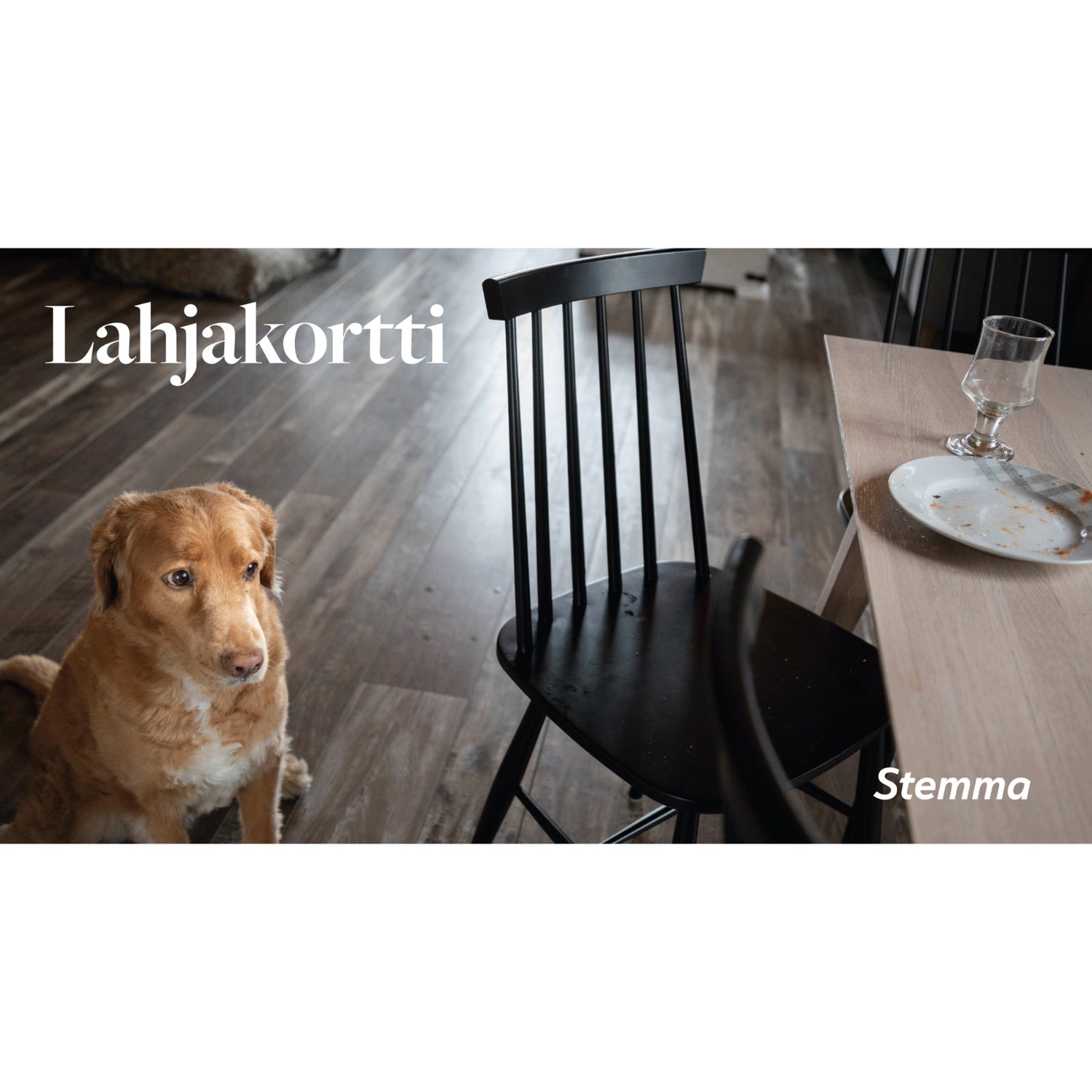 Lahjakortti stemma.fi-verkkokauppaan.