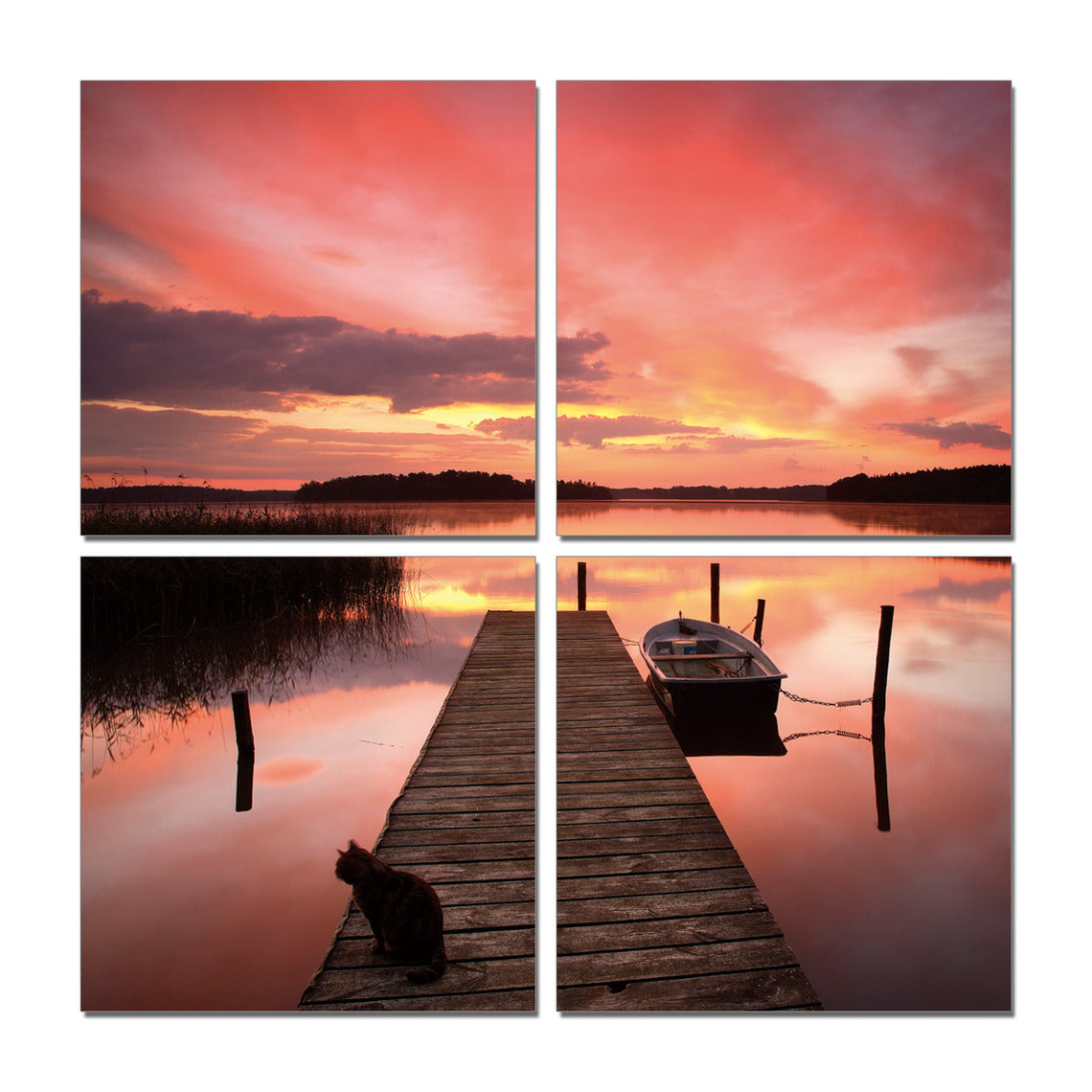 Kissa laiturilla -taulukokonaisuus koostuu neljästä 50 x 50 cm taulusta.