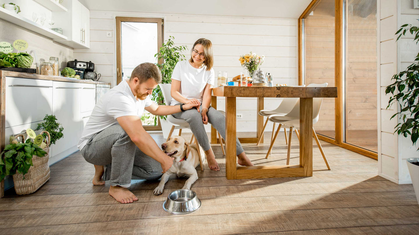 kuvassa pariskunta ja heidän koiransa keittiössä ruokailuryhmän äärellä.