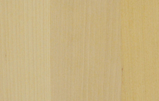 Värimallikuva valkolakattu koivu.