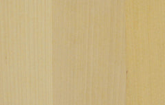 Värimallikuva valkolakattu koivu.