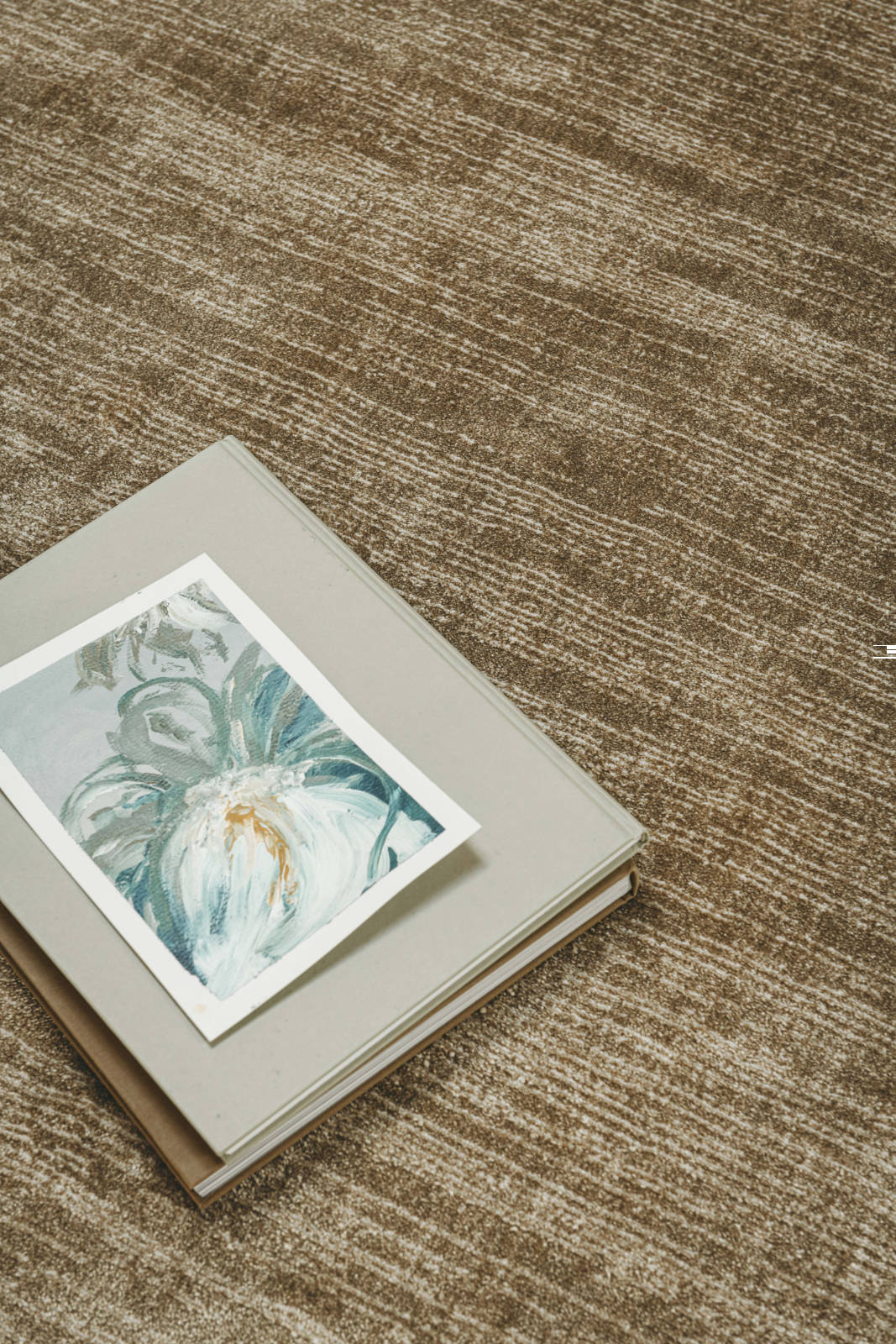 Kuvassa on pehmeä, silkinhieno Sametti-nukkamatto, beigenä.