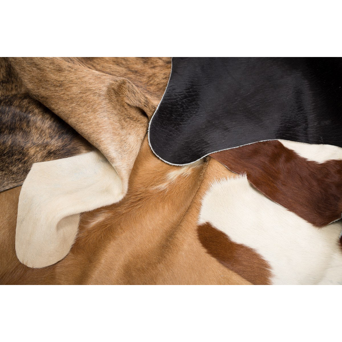 Kuvassa on kaikki Mattokympin häräntaljojen värivaihtoehdot. Talja on aina uniikki ja väreissä esiintyy vaihtelua.