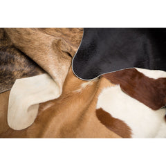 Kuvassa on kaikki Mattokympin häräntaljojen värivaihtoehdot. Talja on aina uniikki ja väreissä esiintyy vaihtelua.